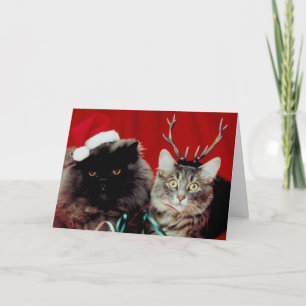 Carte de Noël de Meowy