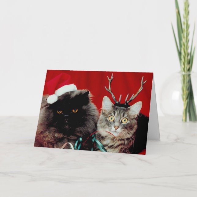 Carte de Noël de Meowy (Devant)