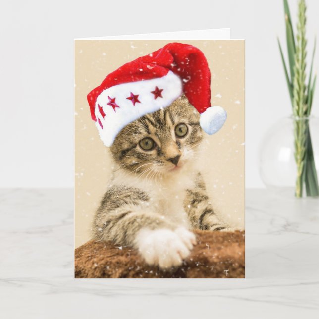 CARTE DE NOËL DE MEOWY MEOWY TABBY CAT (Devant)