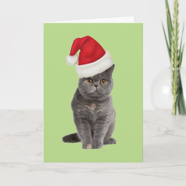carte de Noël de minou (Devant)