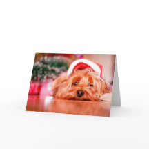 Carte de Noël de pattes de Père Noël