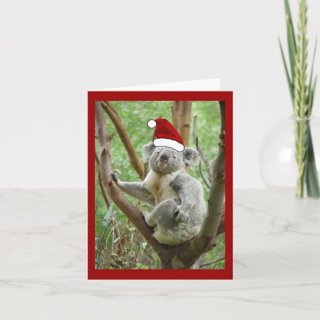 Carte de Noël de Père Noël de koala (Devant)