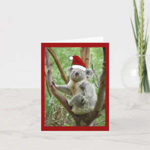 Carte de Noël de Père Noël de koala