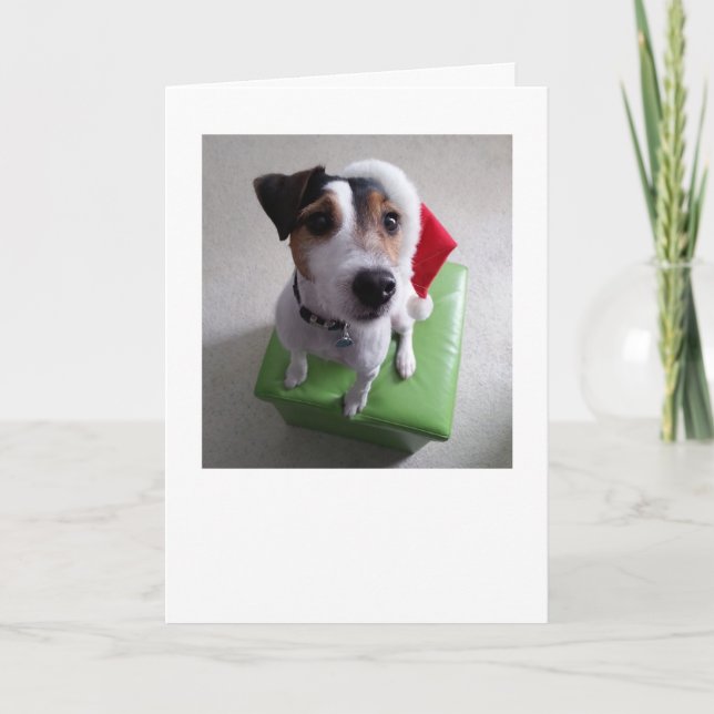 Carte de Noël de Père Noël Jack Russell Terrier (Devant)