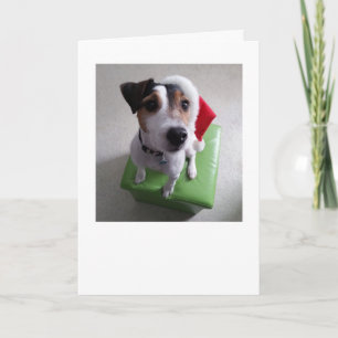 Carte de Noël de Père Noël Jack Russell Terrier