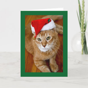 Carte de Noël de Père Noël Kitty