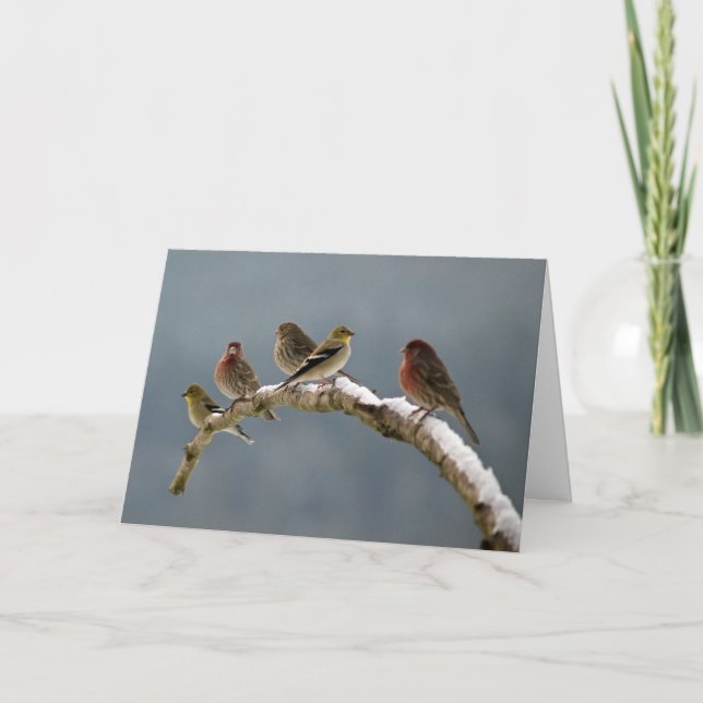 Carte de Noël de pinsons (Devant)