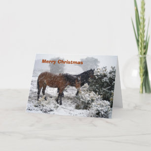 carte de Noël de Poney-dans-tempête de neige