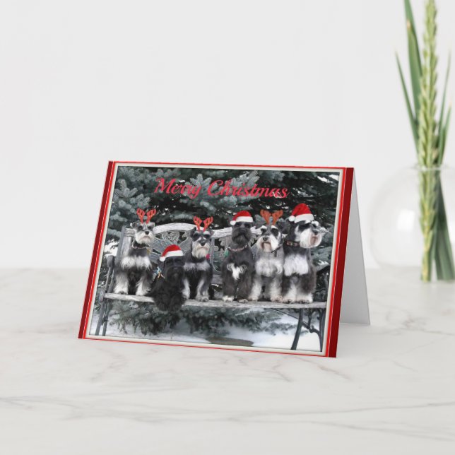 Carte de Noël de Schnauzer (Devant)