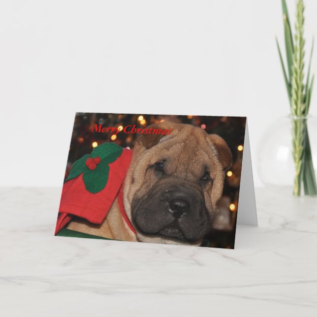 Carte de Noël de Sharpei (Devant)
