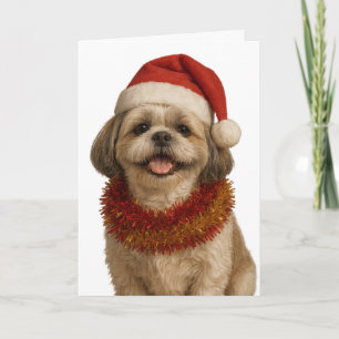 Carte de Noël de Shih Tzu avec un chapeau de Père
