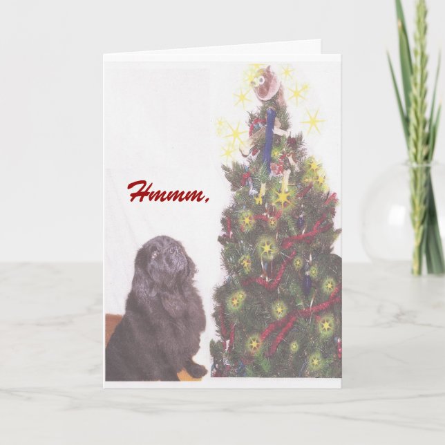 Carte de Noël de Terre-Neuve (Devant)