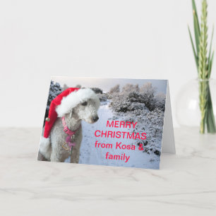 Carte de Noël de terrier de Bedlington