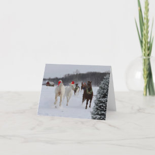 Carte de Noël des chevaux en course