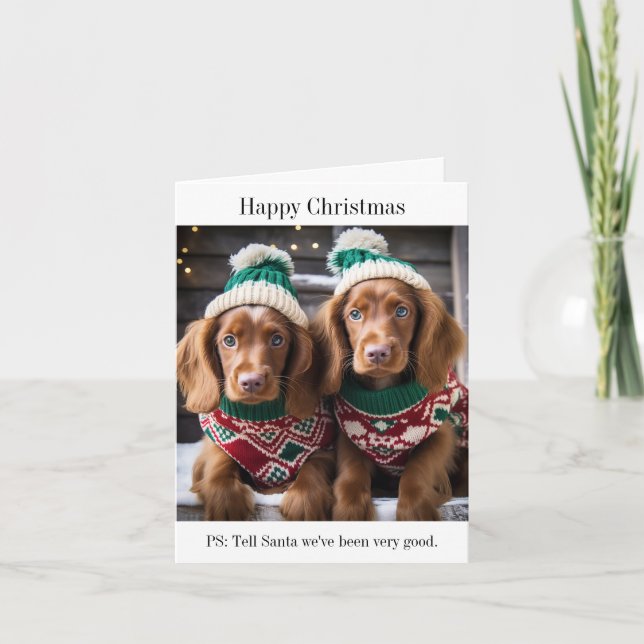 Carte de Noël des chiots de Setter irlandais (Devant)