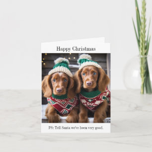 Carte de Noël des chiots de Setter irlandais