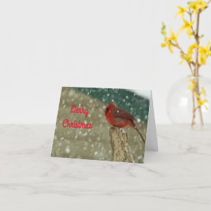 Carte de Noël des oiseaux en neige