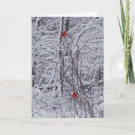 Carte de Noël Deux Cardinaux 7x5