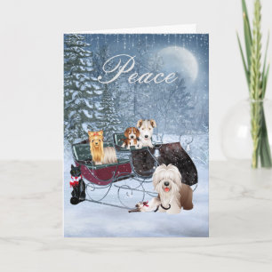Carte de Noël d'hiver avec des chiens, chats,