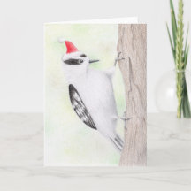 Carte de Noël Downy Woodpecker