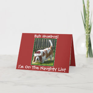 Carte de Noël drôle "Bah Humbug" avec Basset Hound