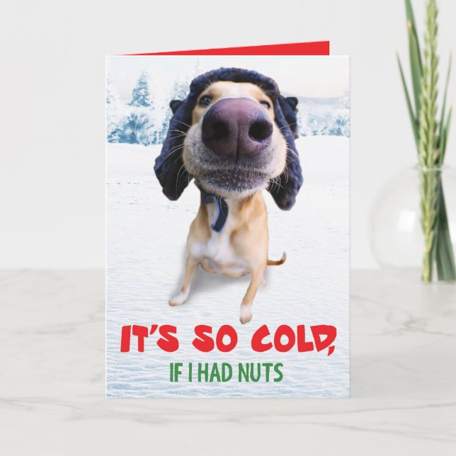 Carte de Noël drôle de chien Teddy le Spaz Man (Devant)