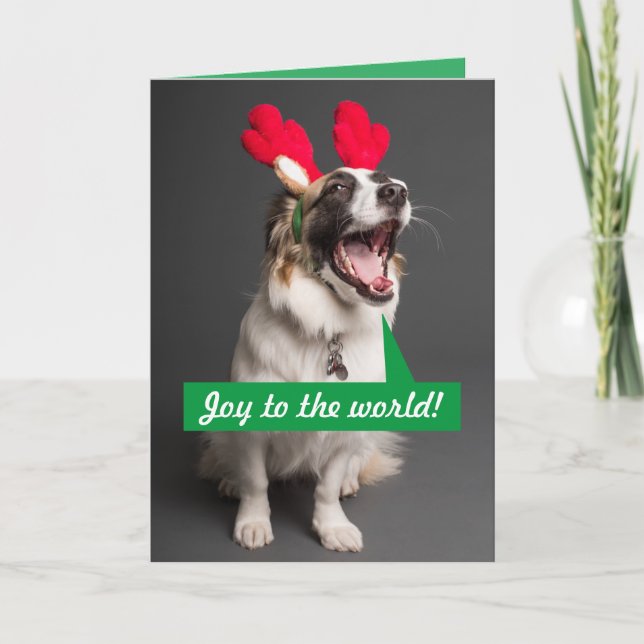 Carte de Noël du berger australien chantant (Devant)