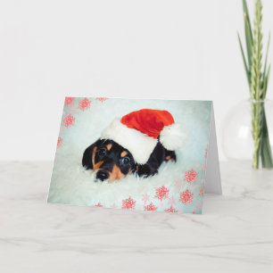 Carte de Noël du chiot de Dachshund