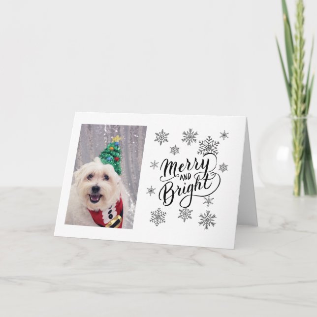 Carte de Noël du mignon chien maltais Bichon (Devant)