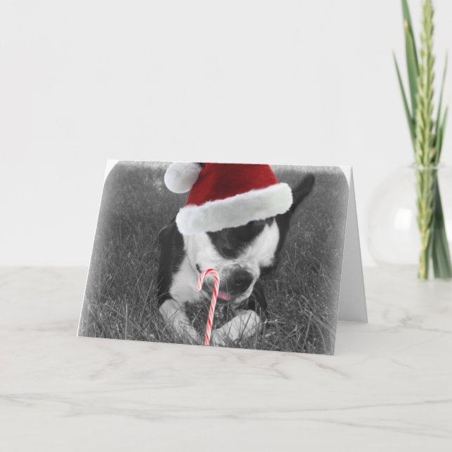 Carte de noël du sucre de canne de Boston (Devant)