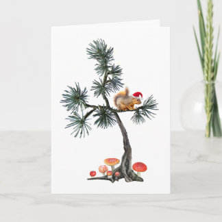 Carte de Noël Écureuil de Noël Pin Épicéa