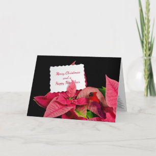 Carte de Noël en Poinsettia