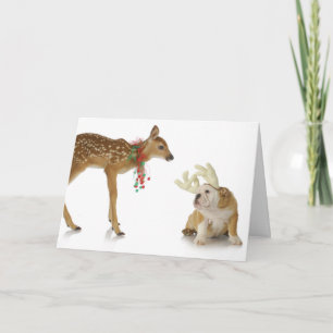CARTE DE NOËL FAON AVEC BOULEDOGUE