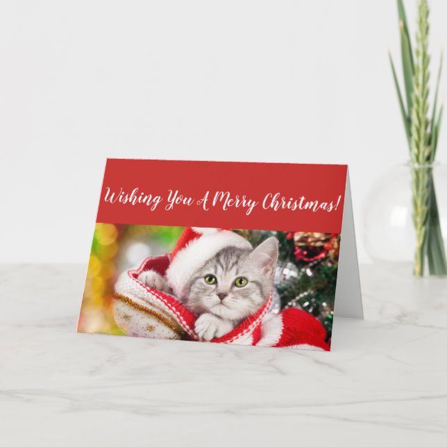 Carte de Noël Fluffy Kitten (Devant)