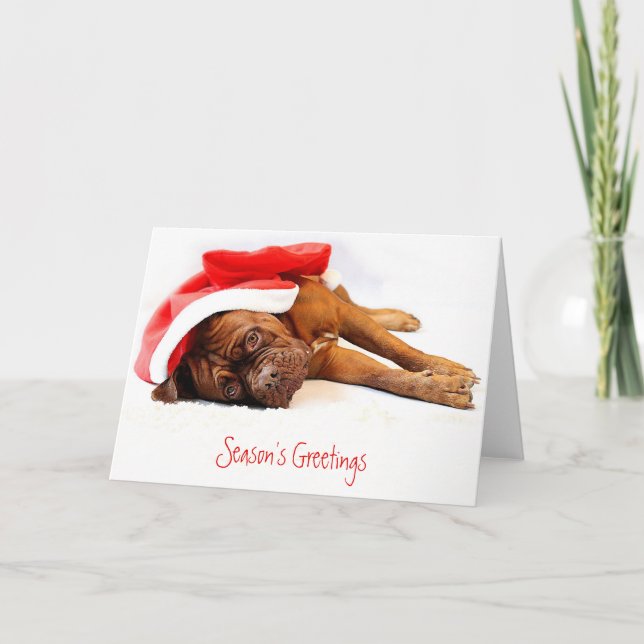 Carte de Noël française de mastiff (Devant)
