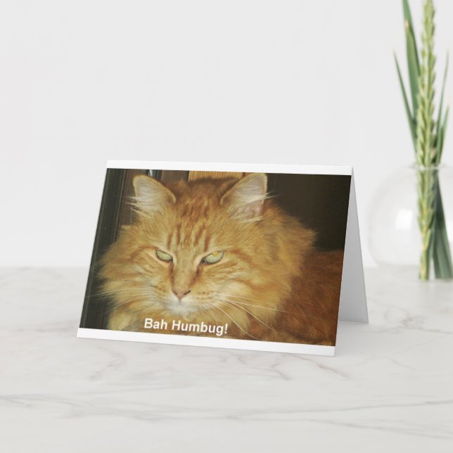 Carte de Noël : Fumisterie de Bah (Devant)