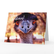 Carte de Noël géante australienne EMU