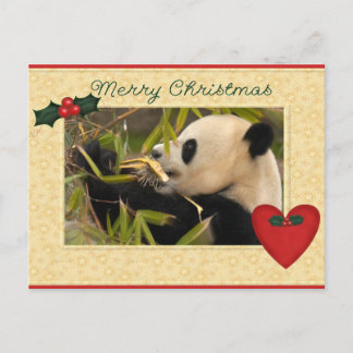 Carte de Noël Giant Panda Bear & Baby Panda