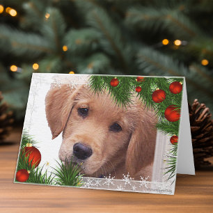Carte de Noël Golden Retriever