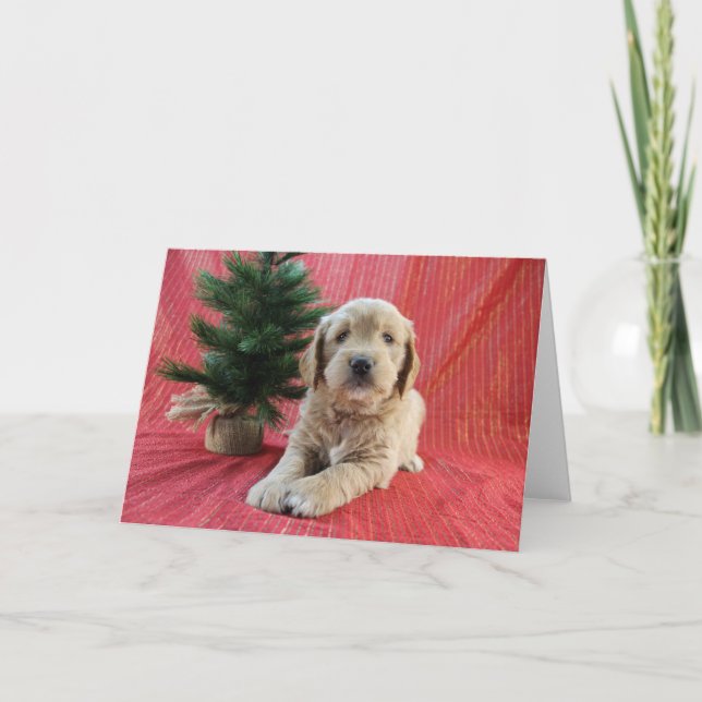 Carte de Noël Goldendoodle (Devant)
