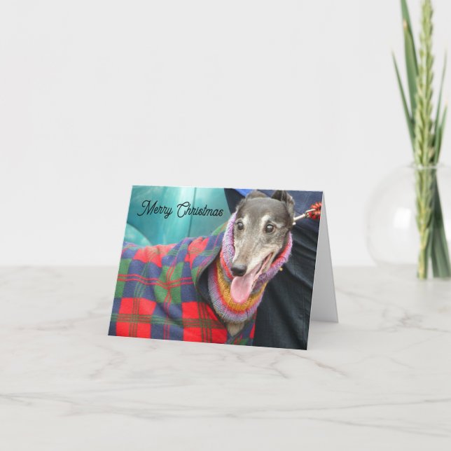 Carte de Noël Greyhound avec une petite veste (Devant)
