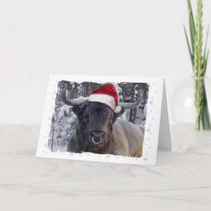 Carte de Noël Highland Cattle