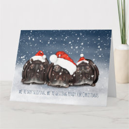 Carte de Noël Hippo Trio de Noël Sleepy