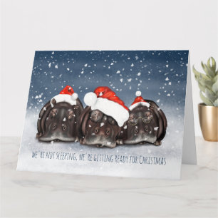 Carte de Noël Hippo Trio de Noël Sleepy