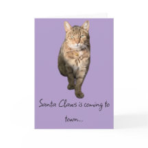 Carte de Noël humoristique avec charmant chat tabb