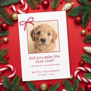 Carte de Noël humoristique avec photo de chien mig