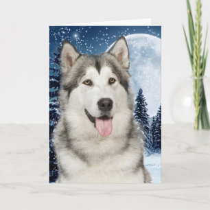 Carte de Noël Husky