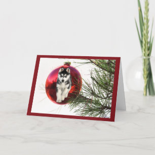 Carte de Noël Husky Sibérienne à pendre la balle