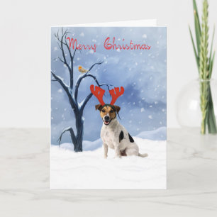 carte de noël jack russell - bulldog a rennes