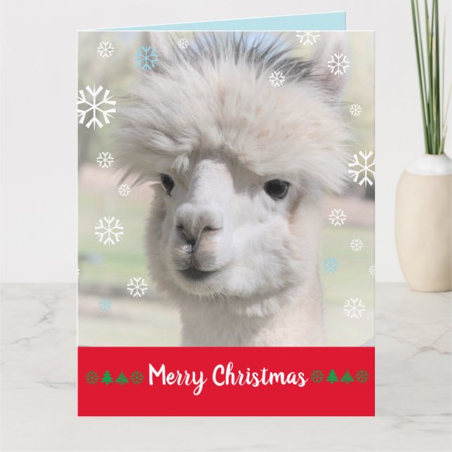 Carte de Noël joyeuse Alpaca Neige (Devant)